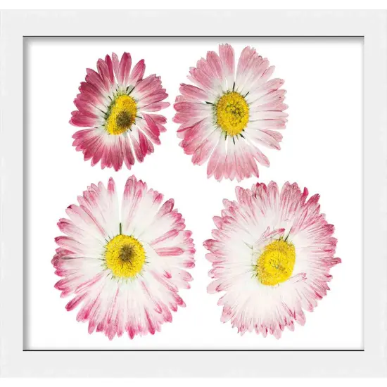 Square Minimalist Shadow Box White Picture Frame - UV Acrylic, Backing, Hanging Hardware {7}