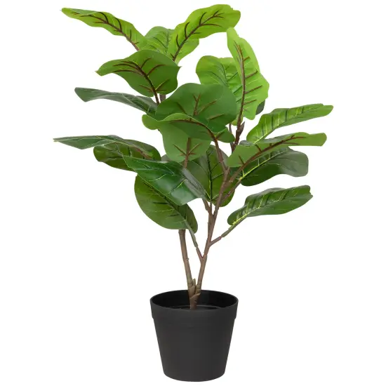 Northlight Two-Tone Fiddle Leaf Fig Artificial Potted Plant - 26" - Green {3}