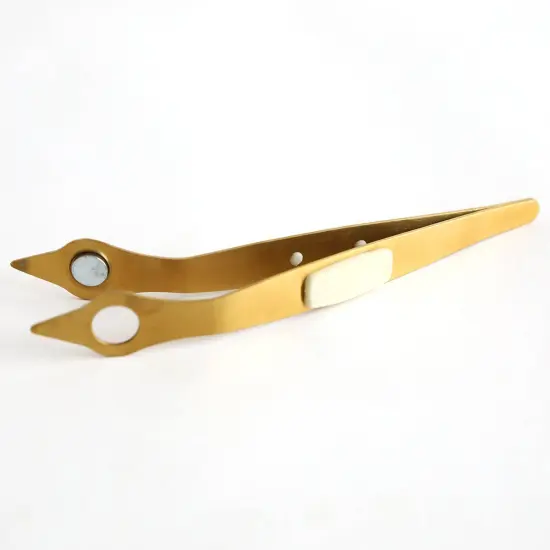 Magnetic Tweezers {3}
