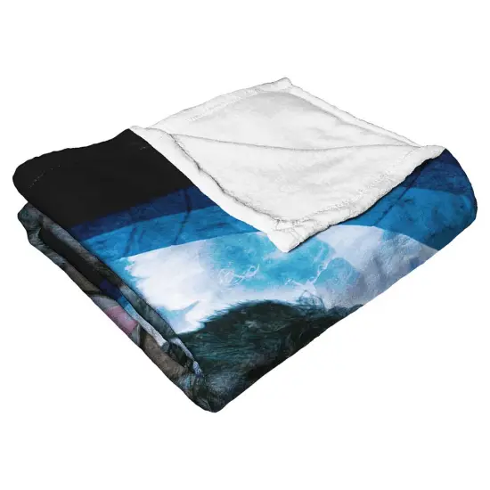 Warner Brothers Harry Potter Philosopher&rsquo;s Stone Silk Touch Throw Blanket Hagrid {5}