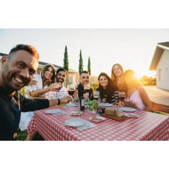 Exquisite Plastic Table Cover Roll &ndash; 40" x 100' Disposable Tablecloth Roll &ndash; Premium Thick 0.5 MIL Plastic Banquet Roll &ndash; Party Table Cover Roll for Events & Catering Red Gingham {6}