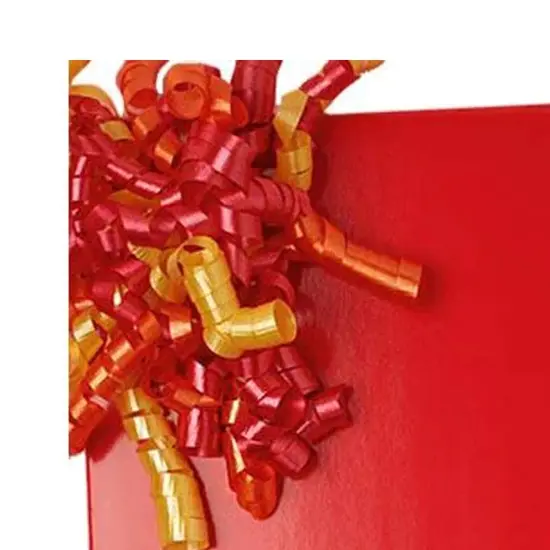 Solid Color Wrapping Paper Roll 24" x 417' for Polished Presentations {2}