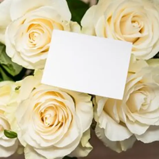 White Fold Over Tent Cards 3.5" x 2.25" 500 Box {1}