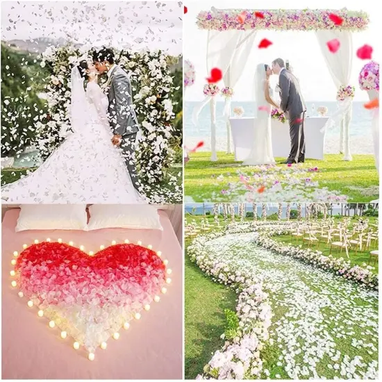 3000 pcs White Rose Flower Petals Artificial Flowers Silk Rose Petals Fake Rose Petals for Romantic Night Valentine ' Day Wedding Party Flower Decorations {5}