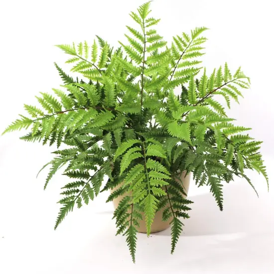 2PC All Weather Boston Fern Plant With 7 Silk Fronds - 28" Wide {4}