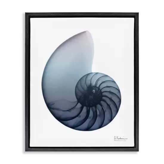 Stupell Industries Contemporary Nautilus Shell Framed Floater Canvas Wall Art Black Floater Frame {7}