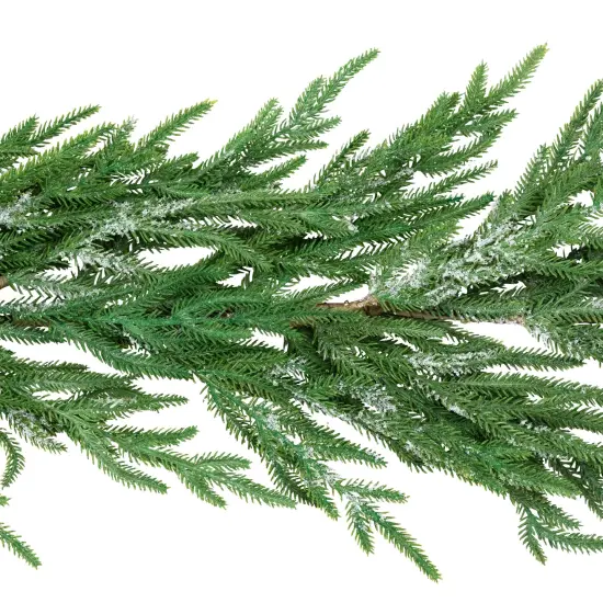 Northlight Frosted Norfolk Pine Artificial Christmas Garland - 5' - Unlit Green {6}