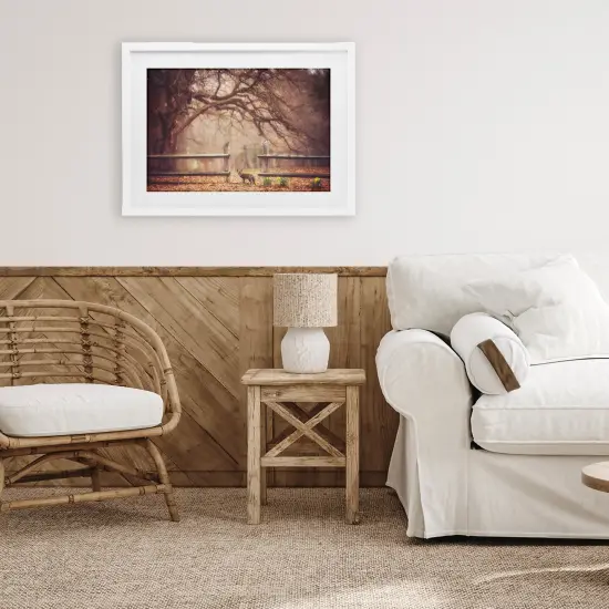 Sly Guy Fox in Forest Framed Print Under Glass Art Brown {8}