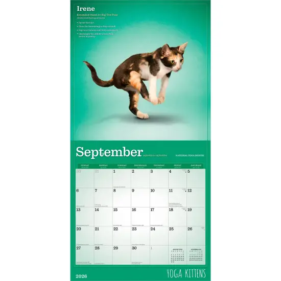 Yoga Kittens OFFICIAL | 2026 12 x 24 Inch (Hanging) Monthly Square Wall Calendar {4}