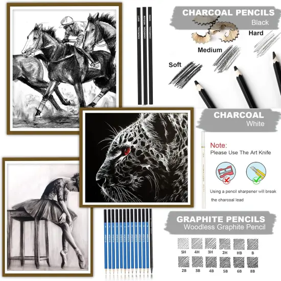 33 Pieces Pro Drawing Kit Sketching Pencils Set,Portable Zippered Travel Case-Charcoal Pencils, Sketch Pencils, Graphite, Charcoal Stick,Sharpener,Eraser.Art Supplies for Artists Beginner Adults Teens {3}