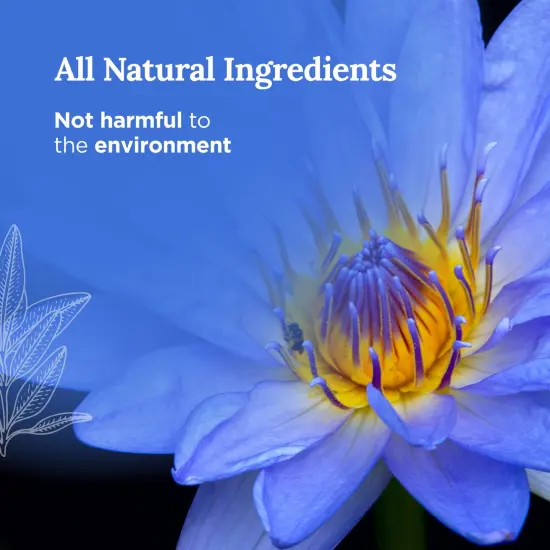 Magnificent 101 Positivity Aromatherapy Candle | 6 Oz - 35 Hour Burn | Soy Wax with Palo Santo & Lotus Flower Oils and Pure Sage Leaves for Intention Setting & Energy Cleansing Multicolor {3}