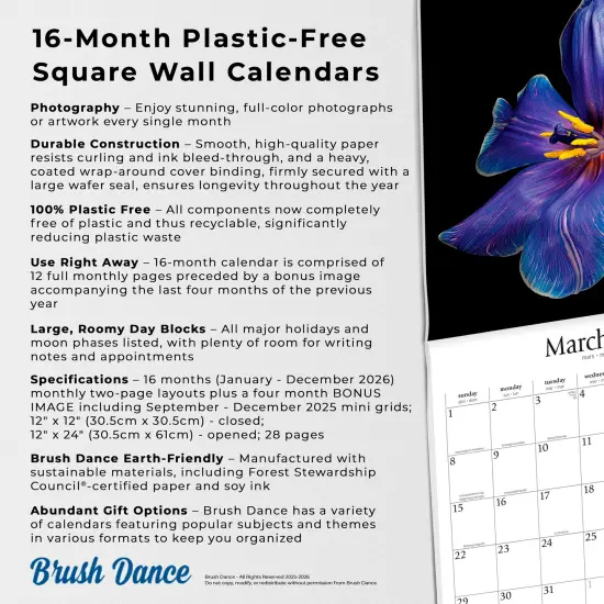 In the Garden | 2026 12 x 24 Inch (Hanging) Monthly Square Wall Calendar | Plastic-Free {6}