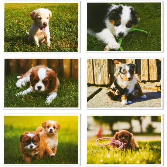 40 Pack Puppy Dog Postcards Bulk Set - All Occasion Assorted Blank Post Cards Greeting Bulk Box Set - 4 x 6 Inches {6}
