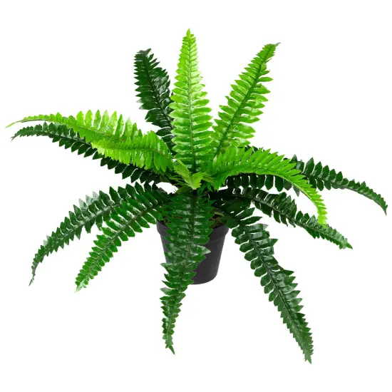 Northlight Potted Artificial Long Green Boston Fern Plant - 15.75" {5}