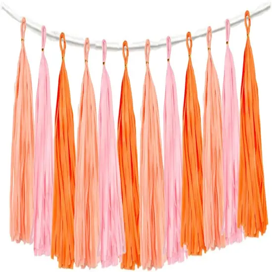15PCS Pink Orange Peach DIY Tissue Tassel Garland Groovy Retro Party Tassel Banner Bunting Streamer for Girl Baby Shower Groovy Halloween Birthday Bridal Shower Nursery Classroom Wall Hanging D&eacute;cor {1}