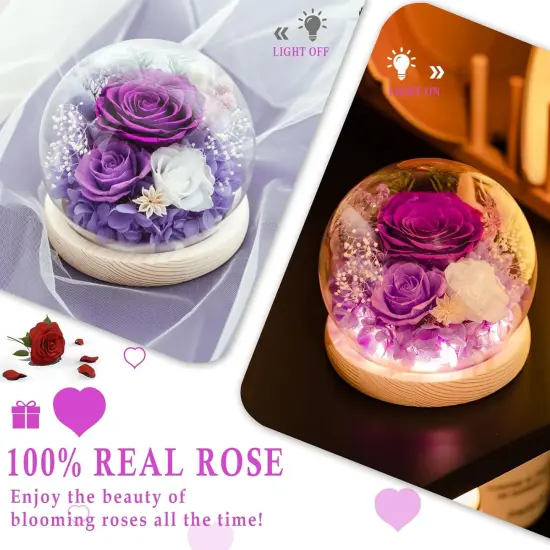 Gifts for Women Preserved Rose Forever Flower in Glass Dome Fresh Flowers for Delivery Prime Mothers Day Birthday Gifts for Mom Grandma Wife Daughter Sister Purple Roses {3}