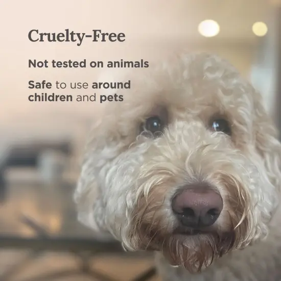 Magnificent 101 Long Lasting Love You Aromatherapy Tin Candle | 6 Oz - 35 Hour Burn | All Natural Soy Wax with Vanilla, Lavender, Rose, Jasmine, Lilac for Romance, Purification, Manifestation Multicolor {5}