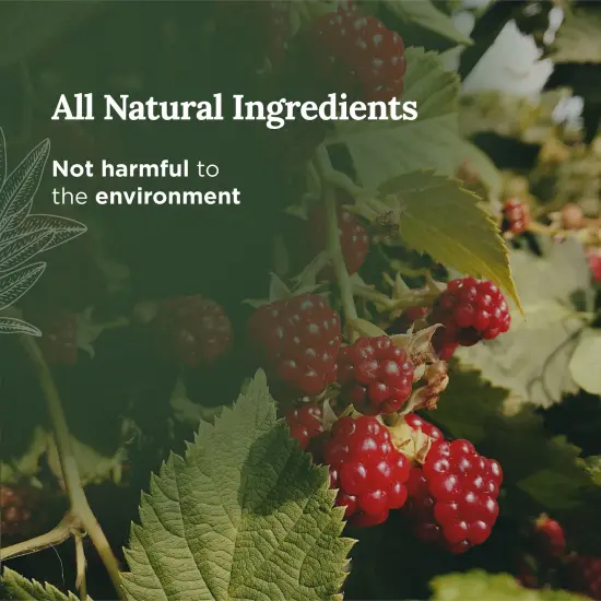 Magnificent 101 Aries Zodiac Sign Candle &ndash; Scented Soy Wax Candle &ndash; Choose Your Birthdate &ndash; Make Great Holiday Gifts for Astrology Fans &ndash; 6oz Tin Holder Ideal for Men&rsquo;s and Women&rsquo;s D&eacute;cor Style Multicolor {3}