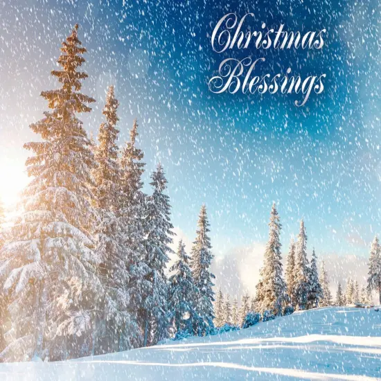 Boxed Christmas Cards-Beauty of the Season {5}