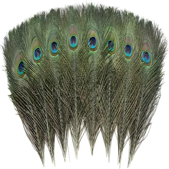 120 PCS Real Natural Peacock Eye Feathers {2}