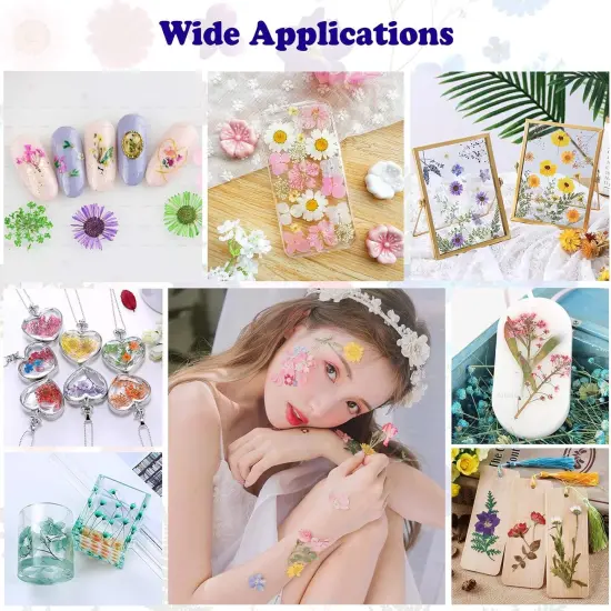 66Pcs Dried Pressed Flowers {4}