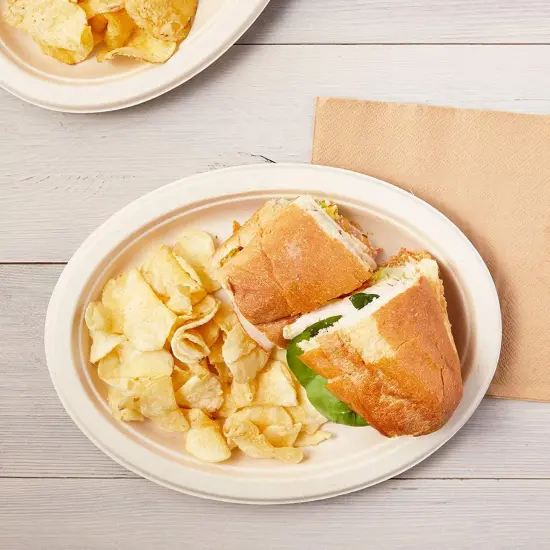 Sugarcane Bagasse Plates, Disposable Dinnerware (10 x 8 Inches, 50 Pack) Brown {3}