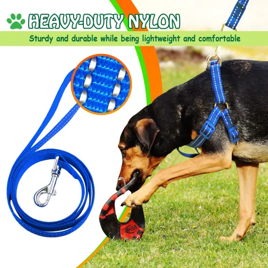 No Pull Nylon Harness and Leash Set Reflective Adjustable for Dogs Cats Pets Walking, Blue, Extra Large Size XL {3}