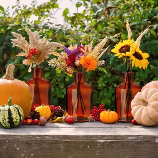 Small Amber Vases for Centerpieces, Brown Glass Vase Bottles for Stems, Flower Buds, Apothecary Style Home Decor (2.8x5 in), 6-Pack {2}