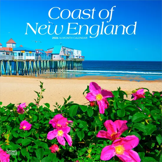 Coast of New England | 2026 12 x 24 Inch (Hanging) Monthly Square Wall Calendar | Plastic-Free {1}