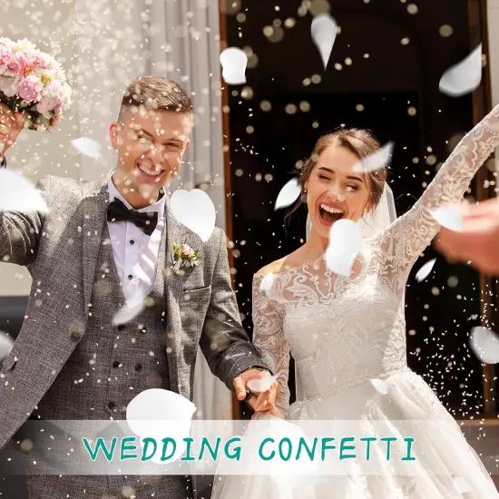 Dried Real Hydrangea Petals, Natural Preserved Dry Flower Petals for Wedding Party Dinner Table Decor {5}