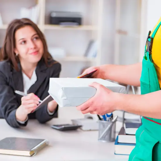 Poly Mailers 10x13 Inch 100 Pack {5}