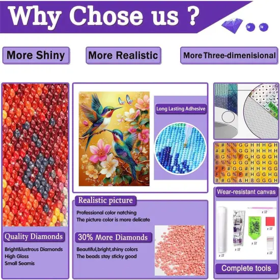 Hummingbird Diamond Art Kits 12x16 Inch {3}