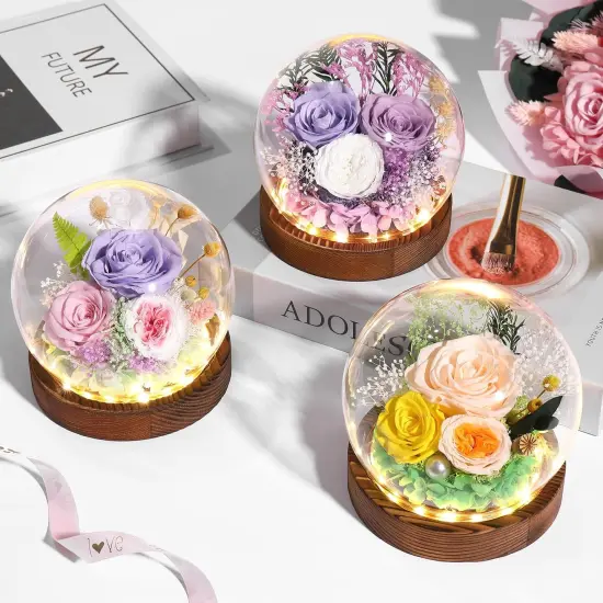 Gifts for Her Preserved Flower Rose in Glass Dome {4}