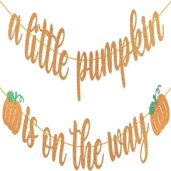 Pumpkin Baby Shower Decorations A Little Pumpkin is On the Way Banner {1}