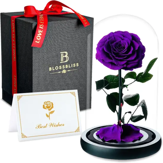 Preserved Flowers in Glass Dome {1}