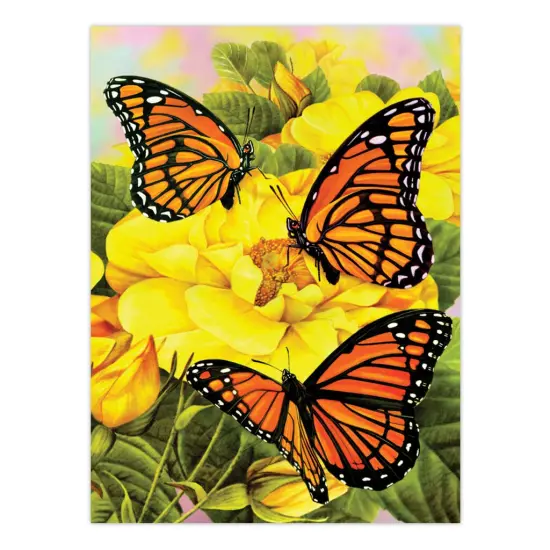 AVS-PBN210 | Painting by numbers™ 30pc 8" x 10" Fields 4 Project Box Set {6}