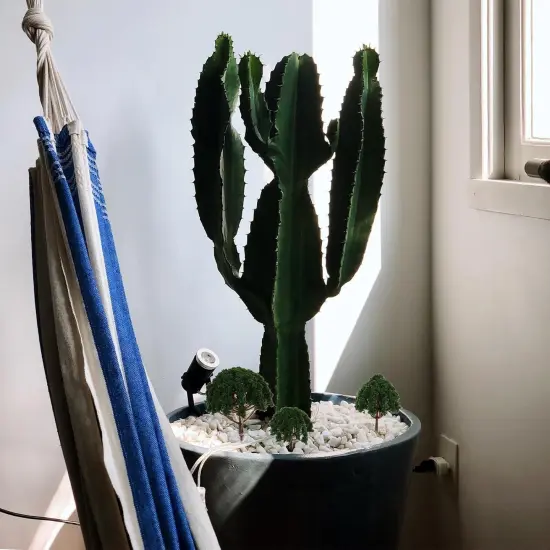 20pcs Model Scenery Tree Yellow Scenery Layout Landscape Trees Model Trees Model Scenery Landscape Trees {5}