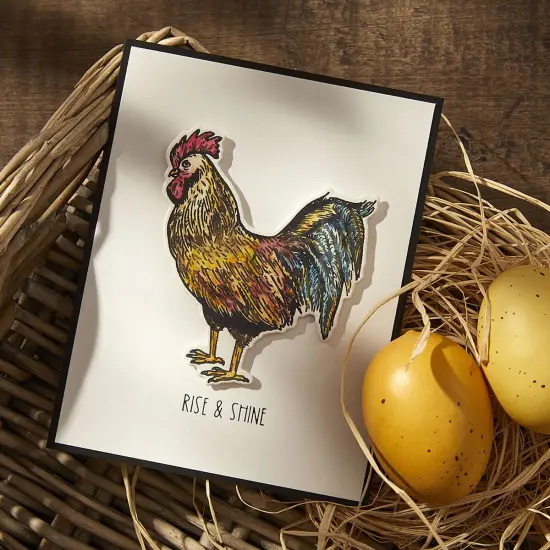 Spellbinders BetterPress Plate & Die Set by Justine Dvorak-Feathered Friends {5}