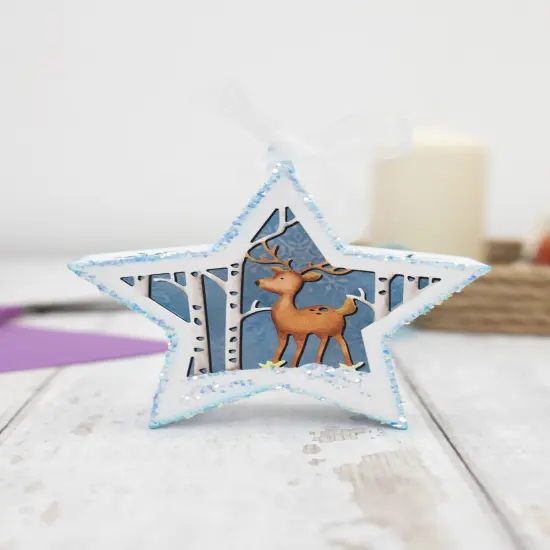 Crafter's Companion Box Set-3D Star {4}