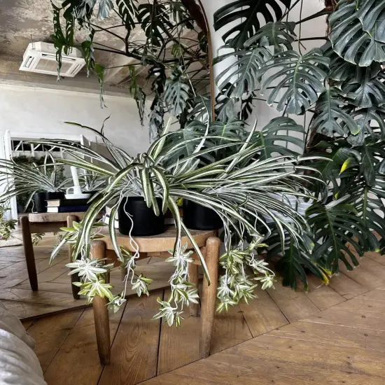 Artificial Chlorophytum Fake Spider Plant Decorative Silk Plant Indoor Wall Hanging Plants for Home Garden Verandah {5}