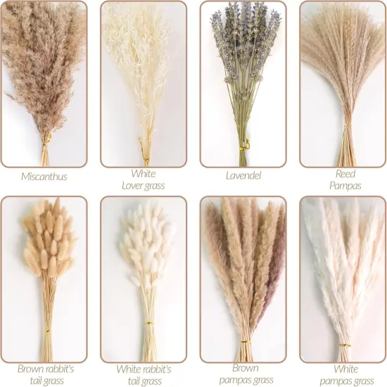 Dried Pampas Grass Bouquet &ndash; Floral Decor for Home, Wedding, Mantel & Table Centerpiece &ndash; Beige & White Pampas, Bunny Tail Dried Flowers, Lavender &ndash; Boho Chic, Rustic Farmhouse & Aesthetic Room Decor {2}