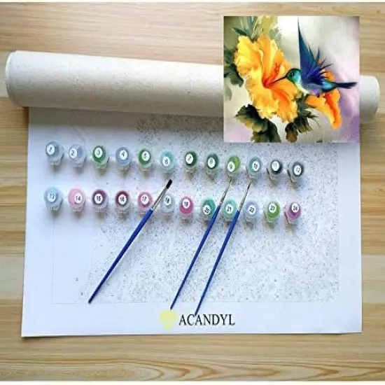 DIY Paint by Numbers Kit for Adults Paint by Numbers Beginner Canvas Painting by Number DIY Acrylic Oil Painting on Canvas Arts Craft Decoration Hummingbird 16x20 inch {4}