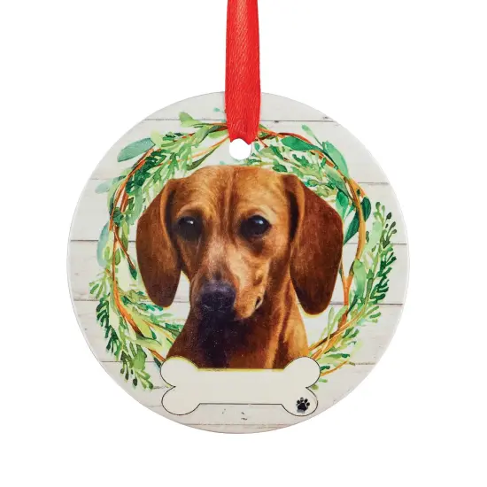 Collections Etc Personalizable Pet Ornament {2}