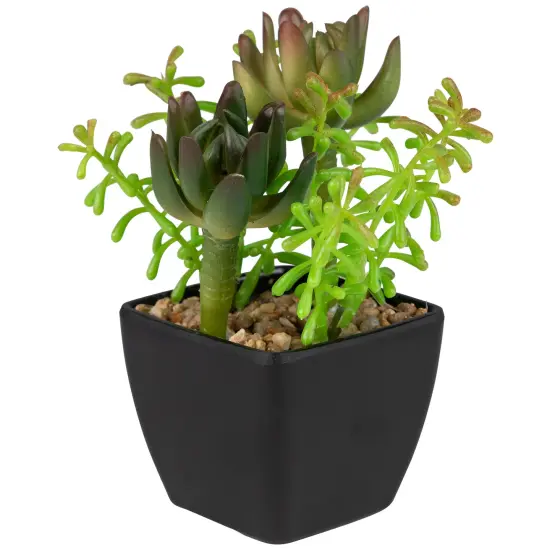 Northlight Potted Artificial Succulent Arrangement - 6" Green {5}