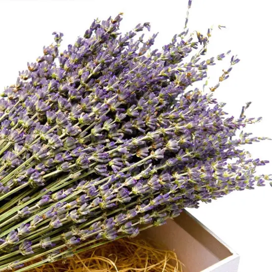 Natural Lavender Bundles, Freshly Harvested 200+ Stems Dried Lavender Bunch 16" - 18" Long, Decorative Flowers Bouquet for Home Decor {2}