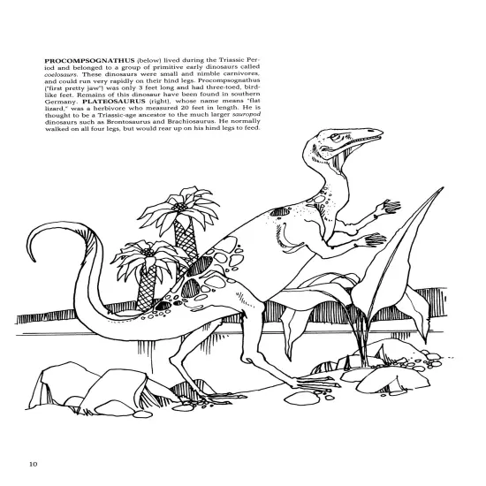 The Dinosaur Coloring Book-Softcover {4}