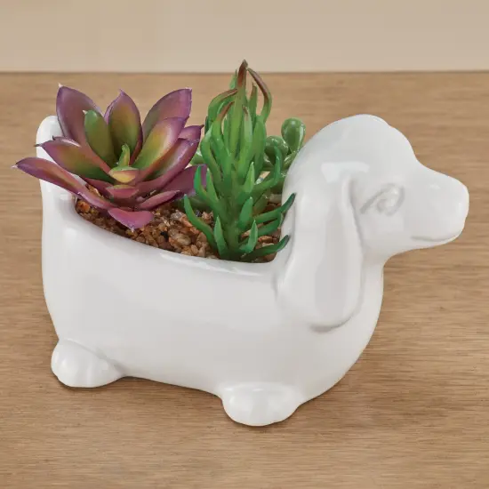 Collections Etc Faux Succulent Arrangement in White Ceramic Dachshund Pot {2}