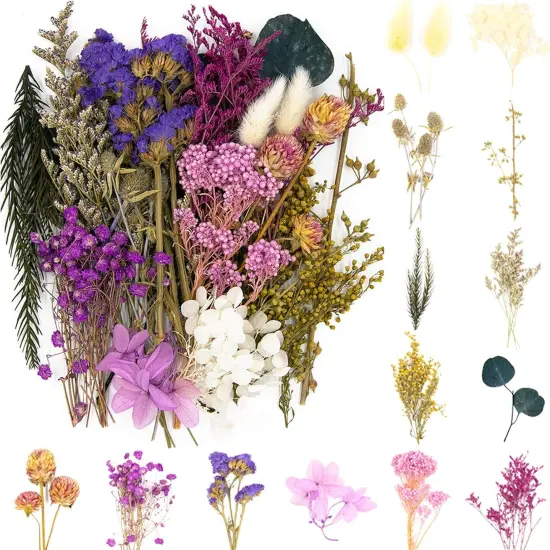 Dried Pressed Leaf Flowers-Multiple Colorful Pressed Flowers Daisies for Craft Resin Jewelry Making Art Craft DIY（Violet） {1}