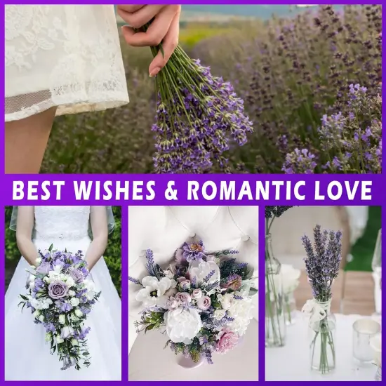 Dried Lavender Bundles, Preserved Lavender Stems Bouquet for Shower, Weeding, Home Fragrance, Vase Crafts Decor {5}