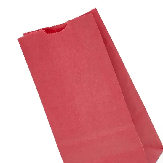 Colored Paper Retail Bags 6'' X 3 5/8'' X 11 1/16'' {5}